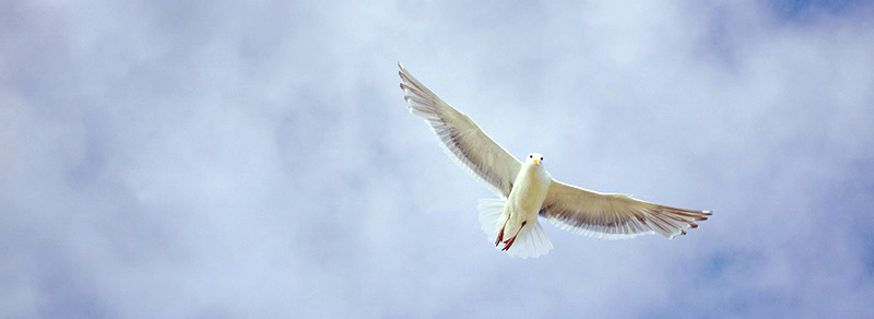 The Holy Spirit’s temple is a relationship.