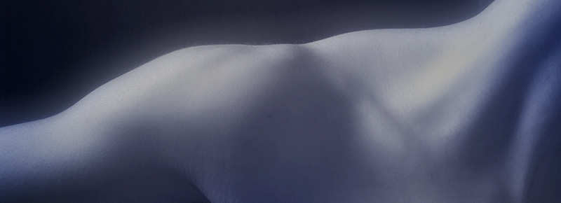 What is the body?