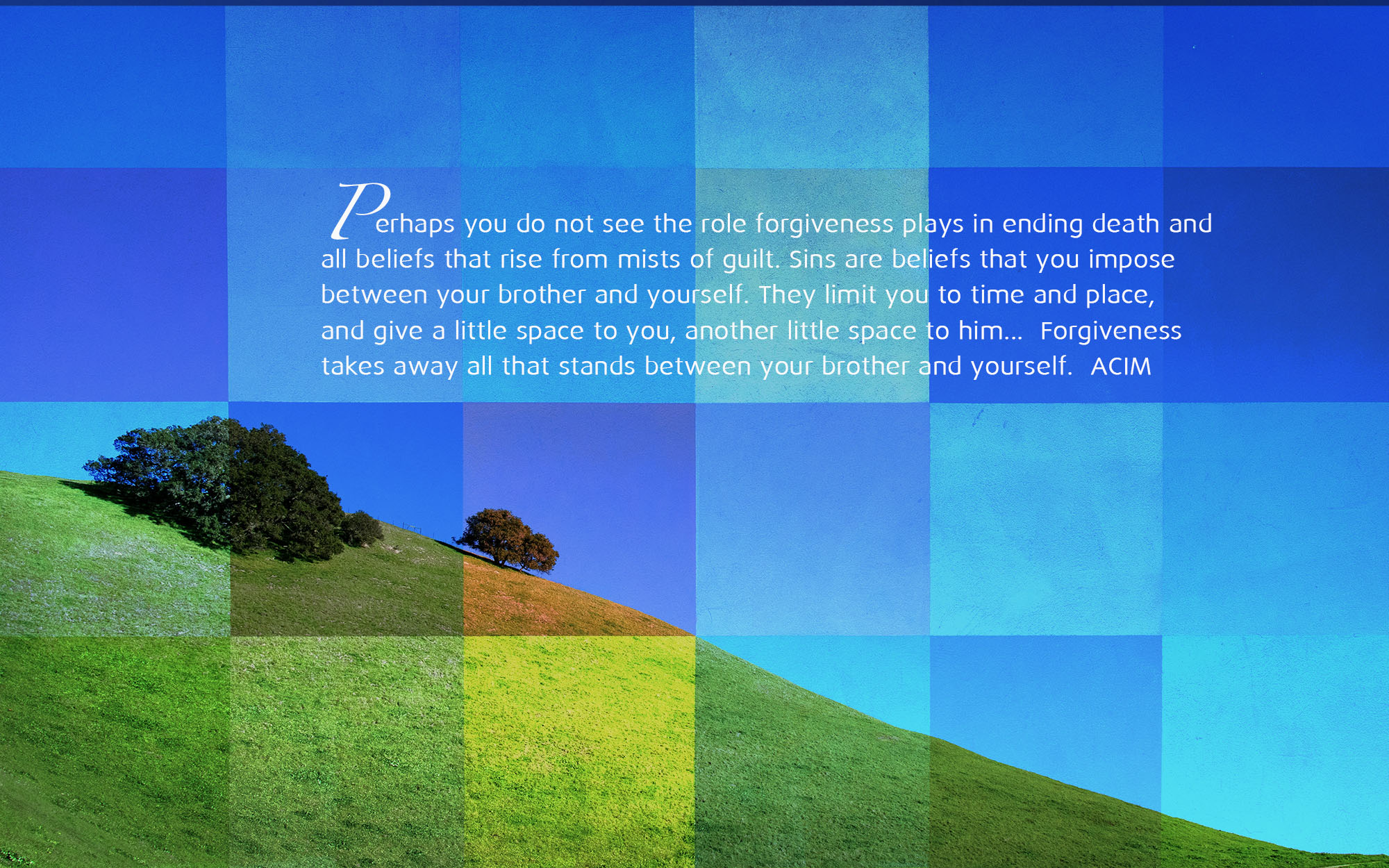 Perhaps you do not see the role forgiveness plays in ending death and all beliefs that rise from mists of guilt. Sins are beliefs that you impose between your brother and yourself. They limit you to time and place, and give a little space to you, another little space to him... Forgiveness takes away what stands between your brother and yourself. - ACIM